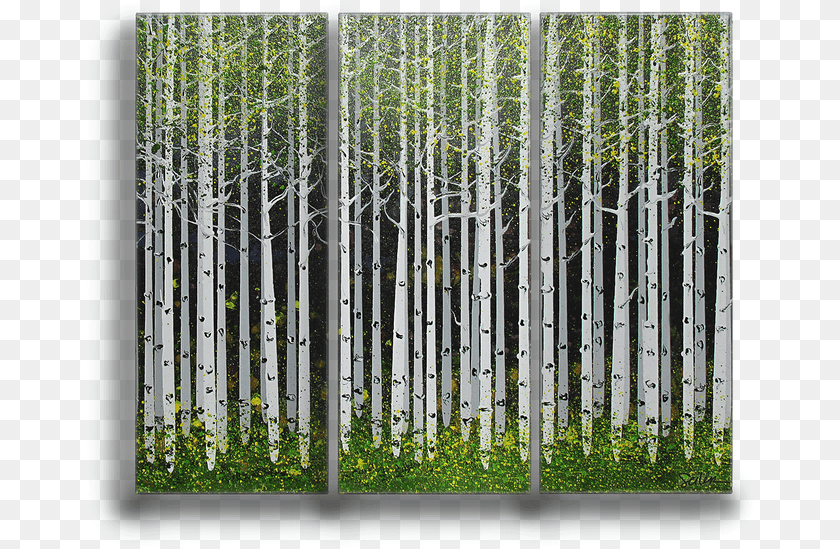 Summer Aspen Trees 3 Aspen Tree Summer, Gate, Plant, Vegetation, Woodland Sticker PNG