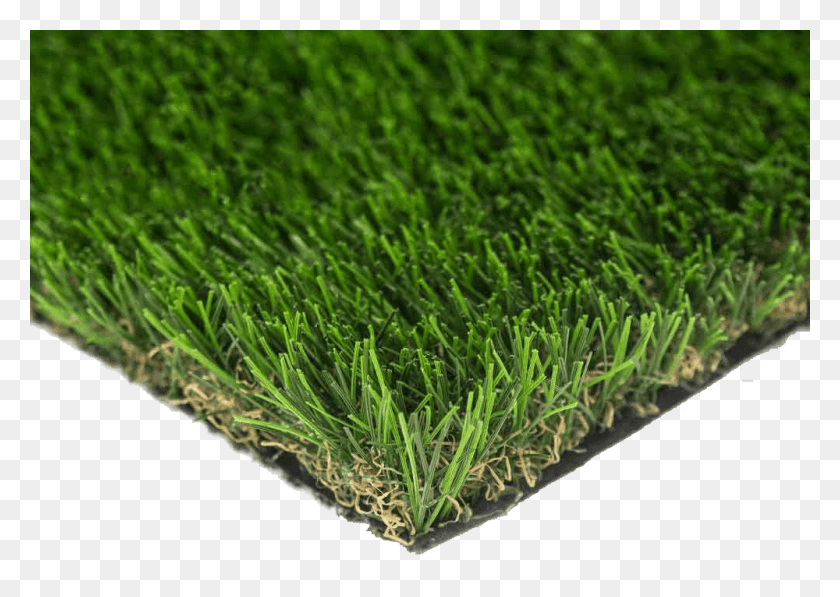 1000x689 Summer Breeze Pro Diamond No Background Fakeartificial Lawn, Grass, Plant, Moss HD PNG Download