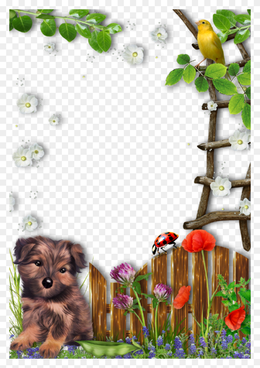 829x1200 Descargar Png Marco De Imagen De Jardín De Verano Con Lindo Puppy Cadre Photo Chien, Perro, Mascota, Canino Hd Png