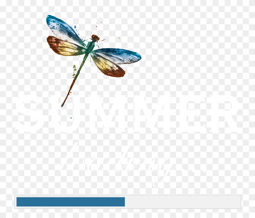750x658 Summer Loading Logo Universidad De Morn, Animal, Insect, Invertebrate HD PNG Download