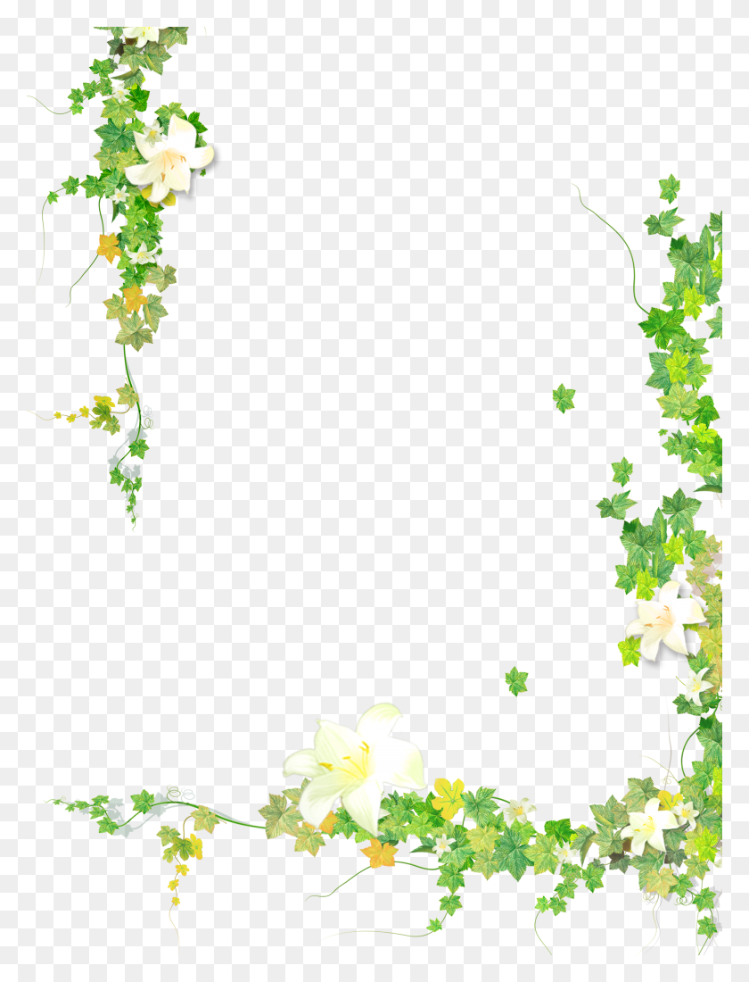 3543x4724 Summer Plant Flower Leaf Painted Vine Hand Clipart Angel Clipart Transparent Background HD PNG Download
