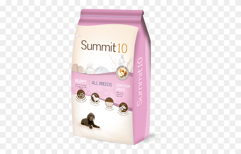 346x477 Summit 10 Life Stages Puppy Puppy, Flyer, Poster, Paper Descargar Hd Png
