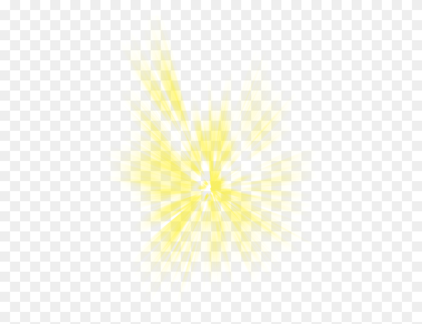 423x584 Sun Beam Clipart Sunlight Effect, Plant, Flower, Blossom HD PNG Download