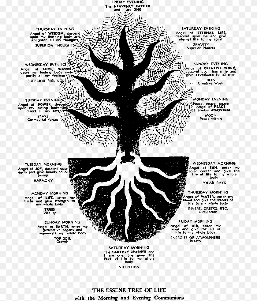 Sun Moon Tree Of Life, Gray Transparent PNG