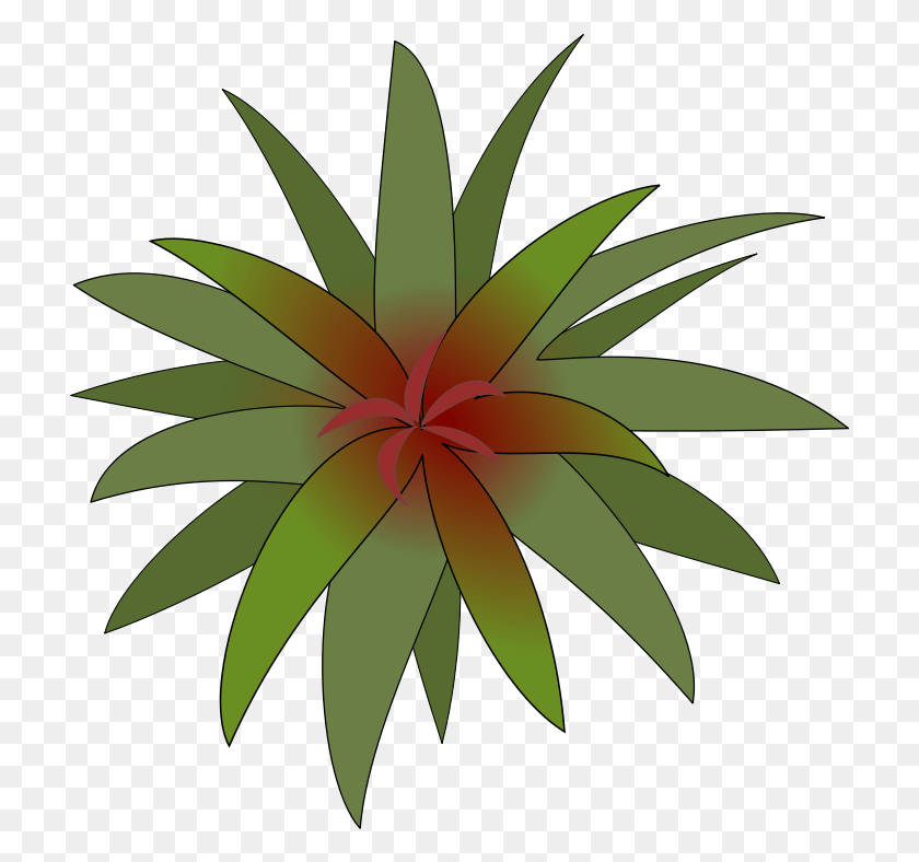 714x728 Sun Ray Designs Drvena Rozetka Za Tavan, Растение, Алоэ, Растительность Hd Png Скачать