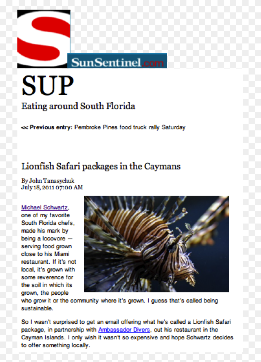 729x1106 Sun Sentinel, Poster, Advertisement, Flyer HD PNG Download