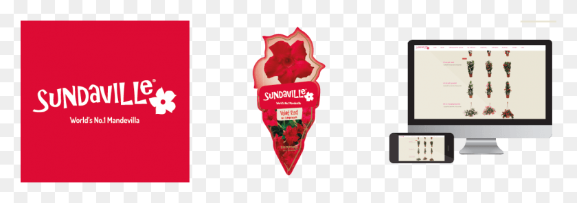1143x347 Sundaville Logo And Labels, Plant, Food, Strawberry HD PNG Download