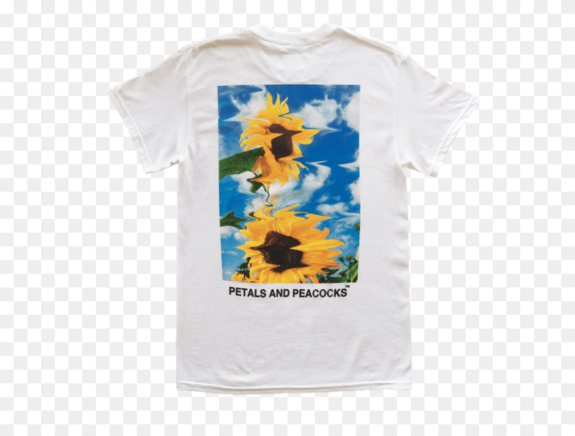 569x577 Sunflower, Clothing, Apparel, T-shirt HD PNG Download