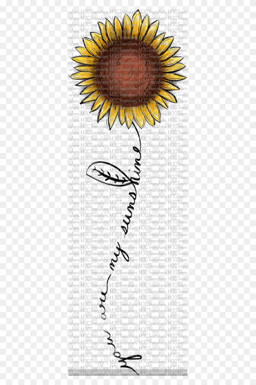 391x1199 Sunflower, Word, Text, Label HD PNG Download