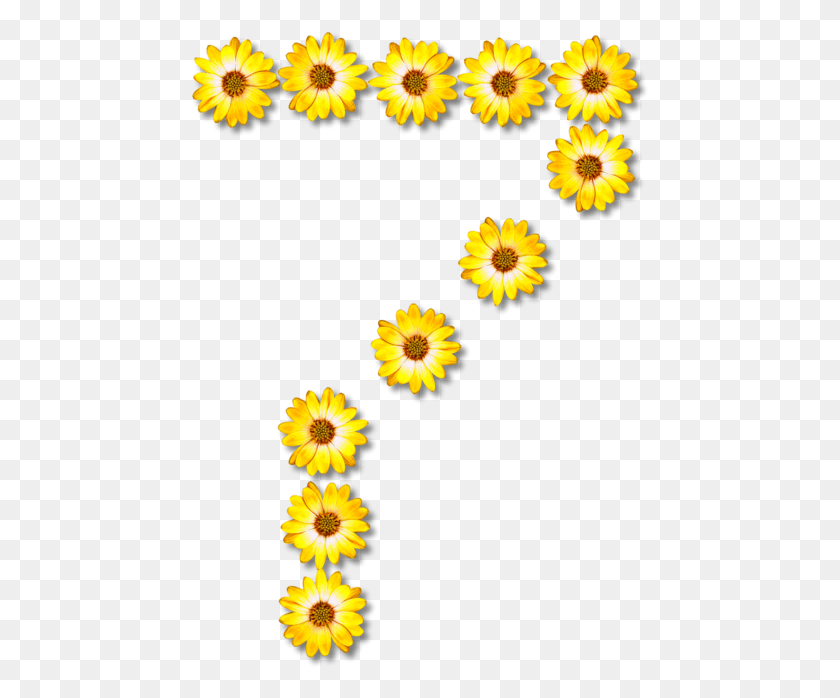 459x638 Sunflower Alphabet, Plant, Flower, Blossom HD PNG Download