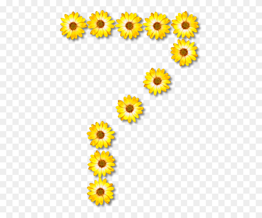 459x638 Alfabeto De Girasol, Planta, Flor, Flor Hd Png