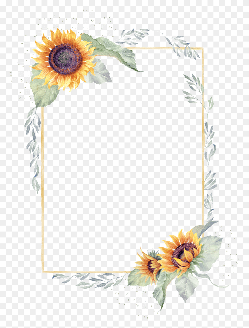 1012x1357 Sunflower Border Transparent Background Sunflower Border, Plant, Flower, Blossom HD PNG Download