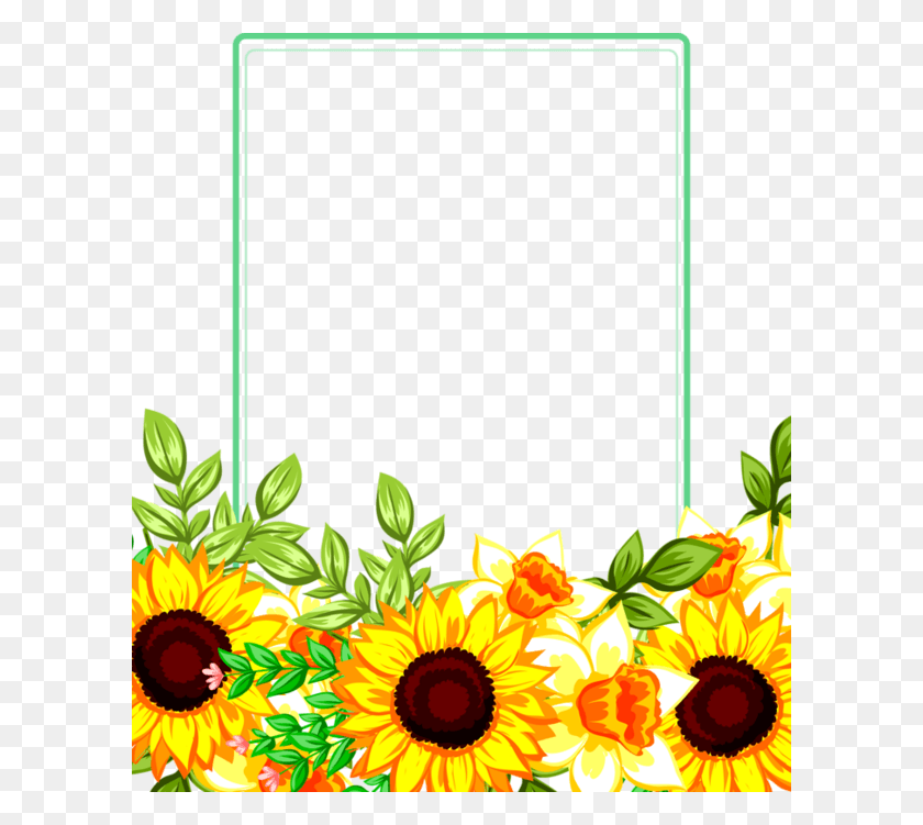 600x691 Sunflower Borders And Frames, Plant, Flower, Blossom HD PNG Download