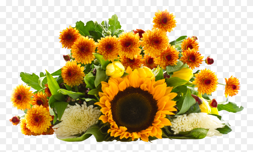 1551x888 Sunflower Bouquet Sunflower Bouquet Transparent Background, Plant, Flower, Blossom HD PNG Download