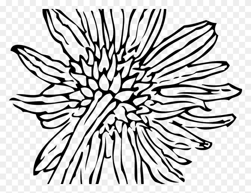 1024x768 Sunflower Clip Art, Nature, Outdoors, Night HD PNG Download