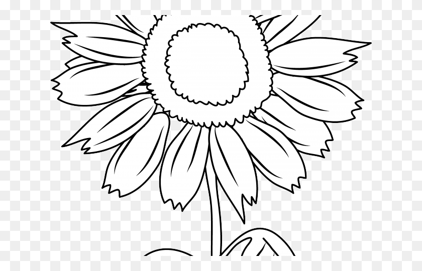 Sunflower Clipart Black And White, Plant, Flower, Blossom HD PNG Download.