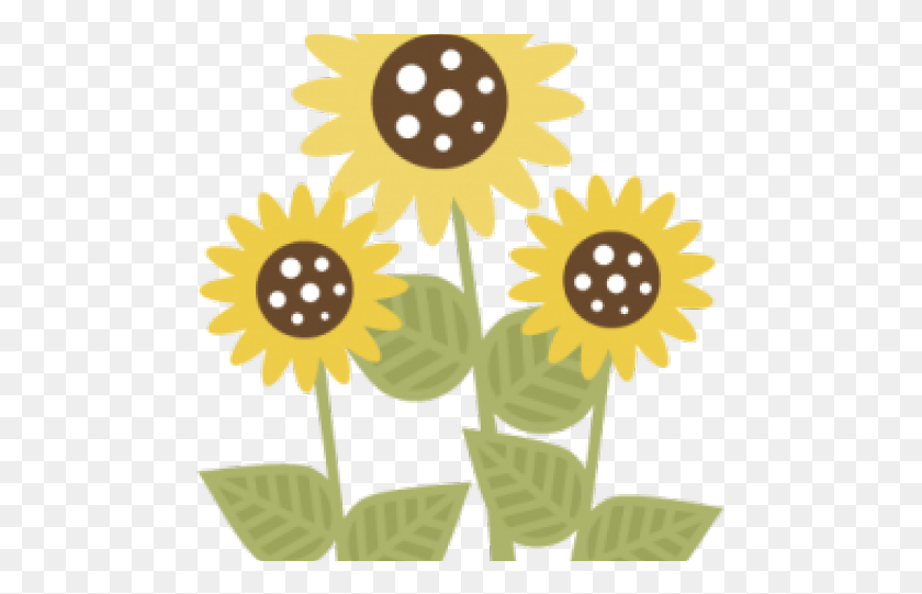 484x481 Sunflower Clipart File Sun Flower Clipart, Poster, Advertisement, Plant HD PNG Download