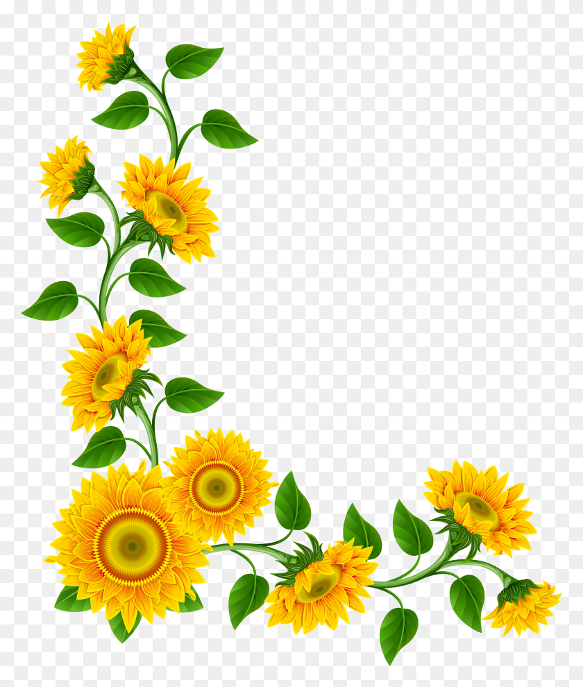 4201x5009 Sunflower Clipart Free Bouquet Of Flower Outline Clip Sunflower Border HD PNG Download