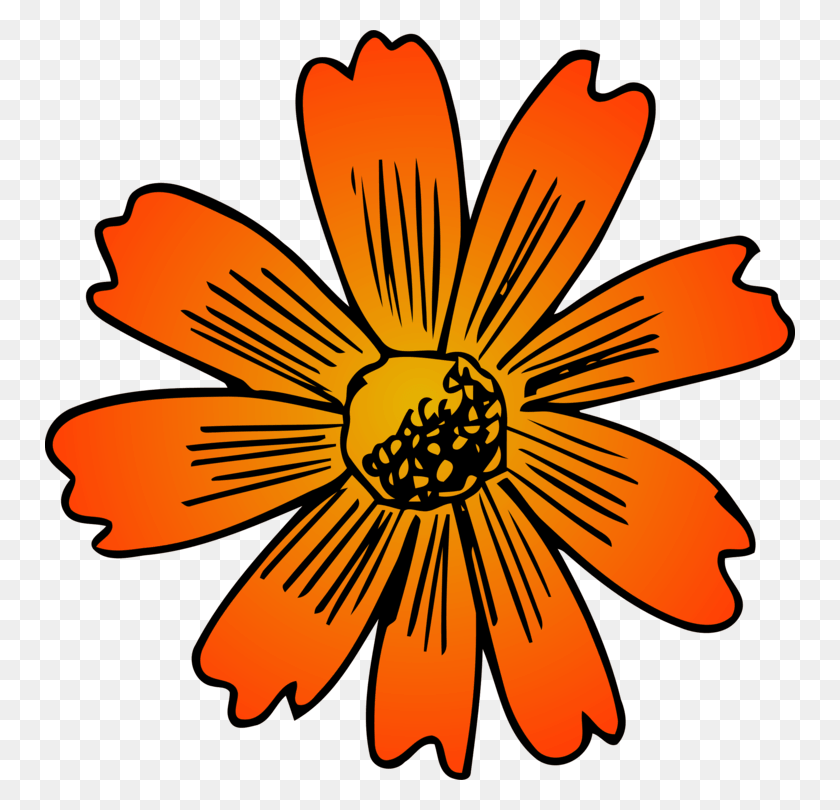 750x750 Sunflower Clipart Rose African Daisy, Plant, Petal, Flower HD PNG Download