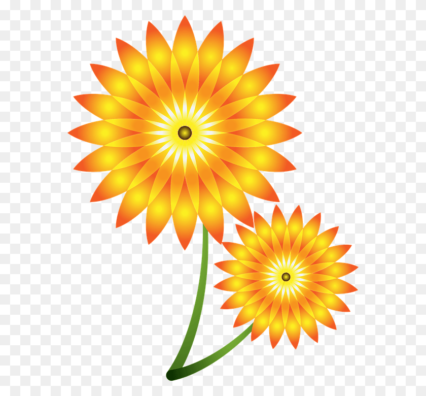 574x720 Sunflower Clipart Summer Hoa Huong Duong Vector, Graphics, Pattern HD PNG Download