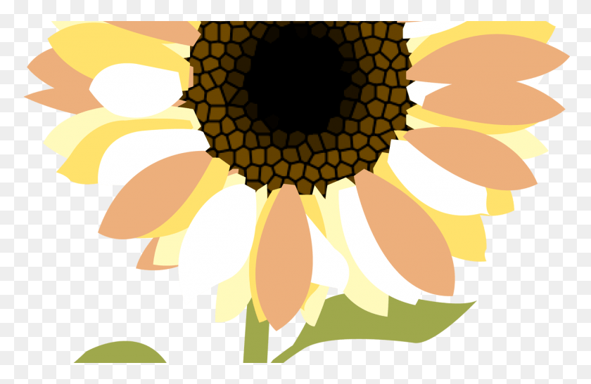 1368x855 Sunflower Clipart The Image Kid Has Peace Love And Mercy, Plant, Flower, Blossom HD PNG Download