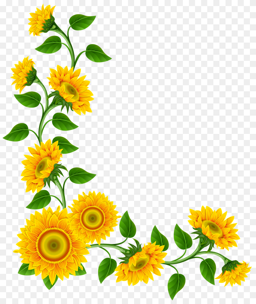 Sunflower Corner, Flower, Plant PNG
