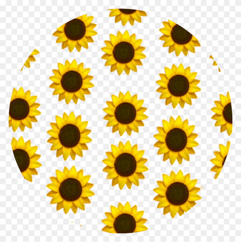1024x1026 Sunflower Emoji Background Yellow Aesthetic Common Sunflower, Plant, Flower, Blossom HD PNG Download