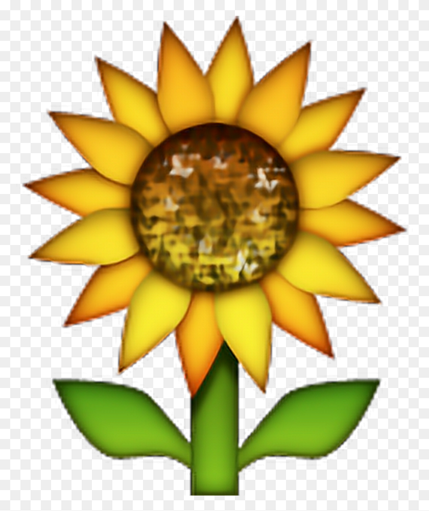 849x1025 Подсолнечник Emoji Flowers Freetoedit, Растение, Цветок, Цветение Hd Png Скачать