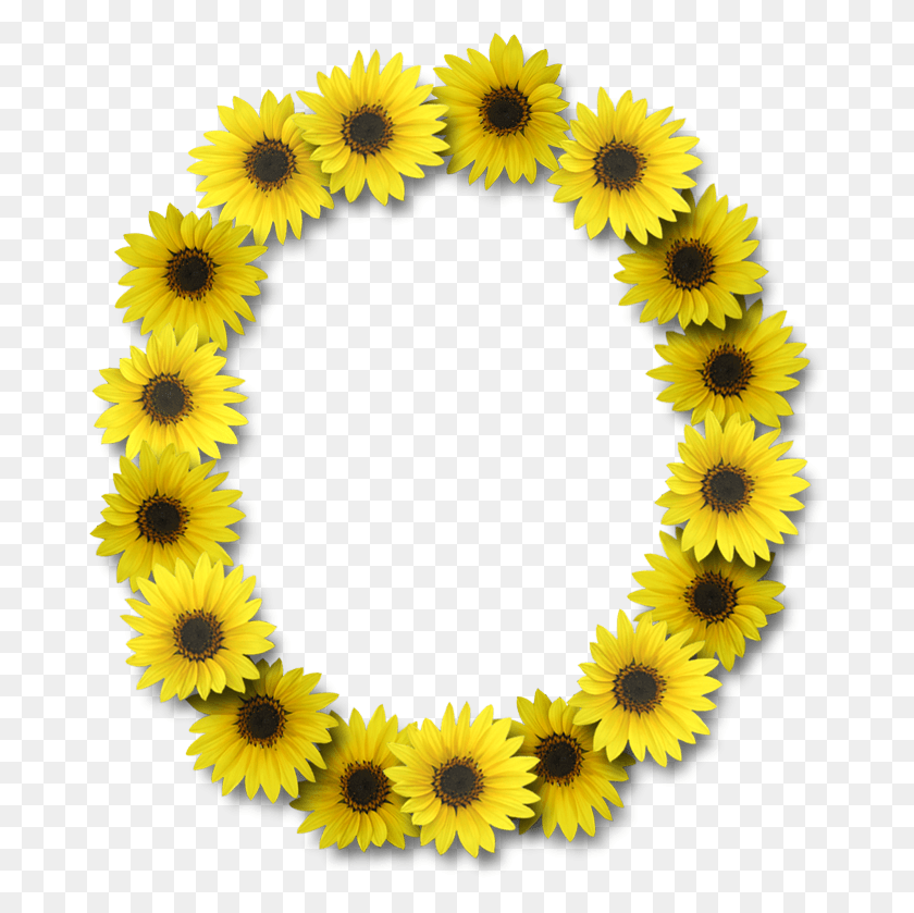 678x779 Sunflower Flower Letters Frame Clipart Alphabet Sunflower Letter O, Plant, Rug, Blossom HD PNG Download