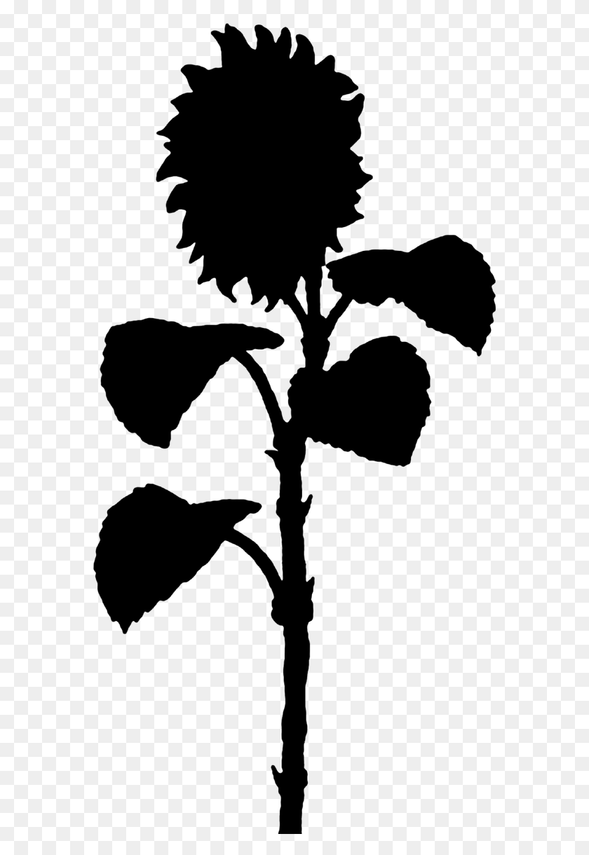 580x1160 Sunflower Flower The Silhouette Image Sunflower Silhouette, Gray, World Of Warcraft HD PNG Download