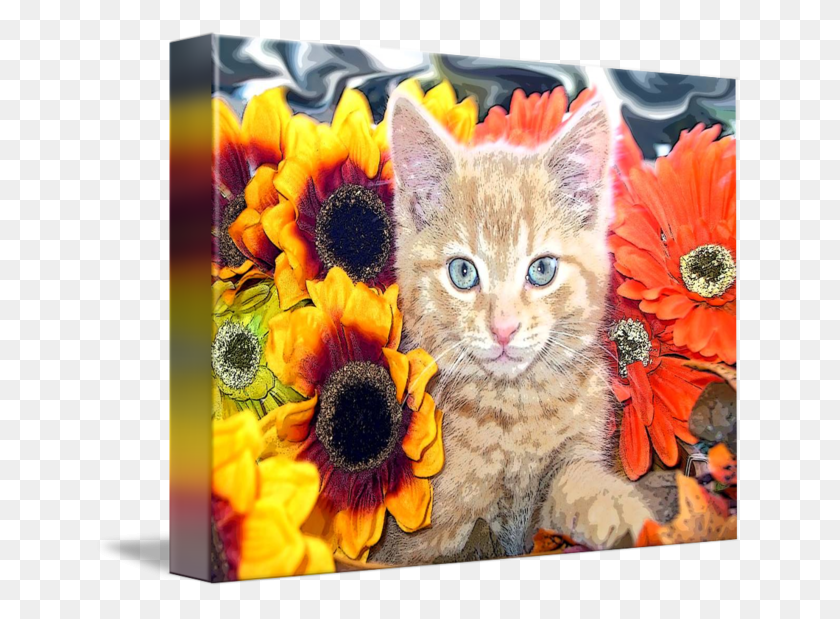 650x559 Sunflower Kitty Kitten Blue Portrait By Chantal Cat, Plant, Flower, Pet HD PNG Download