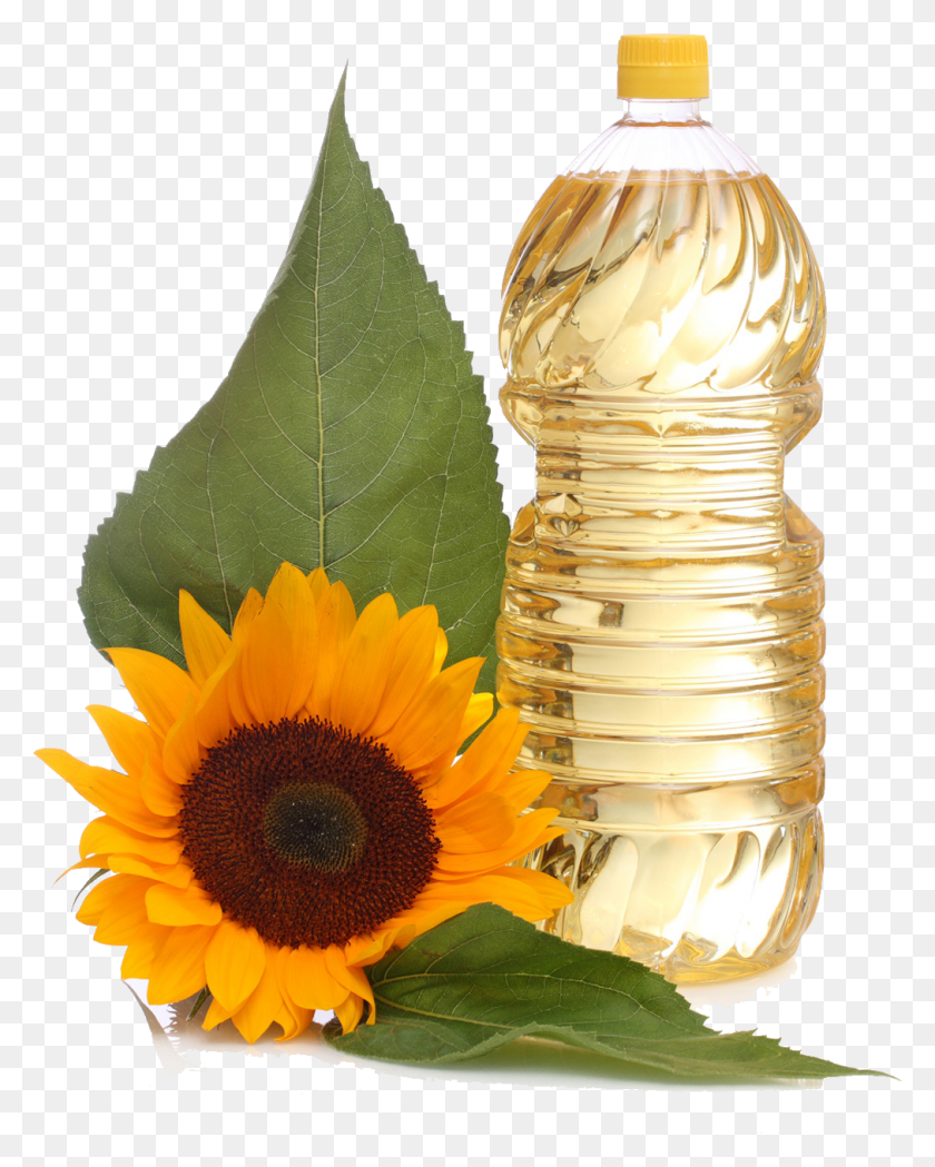 1012x1284 Sunflower Oil Free Image Sunflower Oil, Plant, Flower, Blossom HD PNG Download