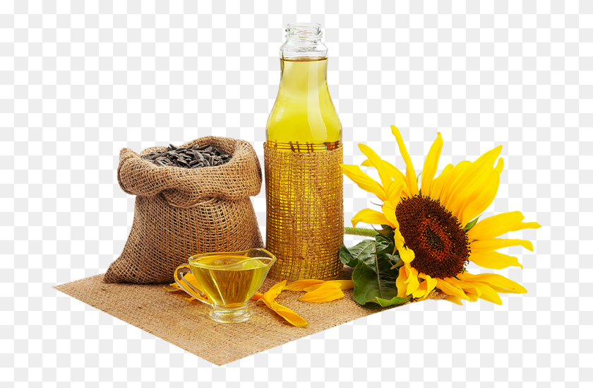 698x489 Sunflower Oil Vegetable And Seed Oils, Plant, Flower, Blossom HD PNG Download