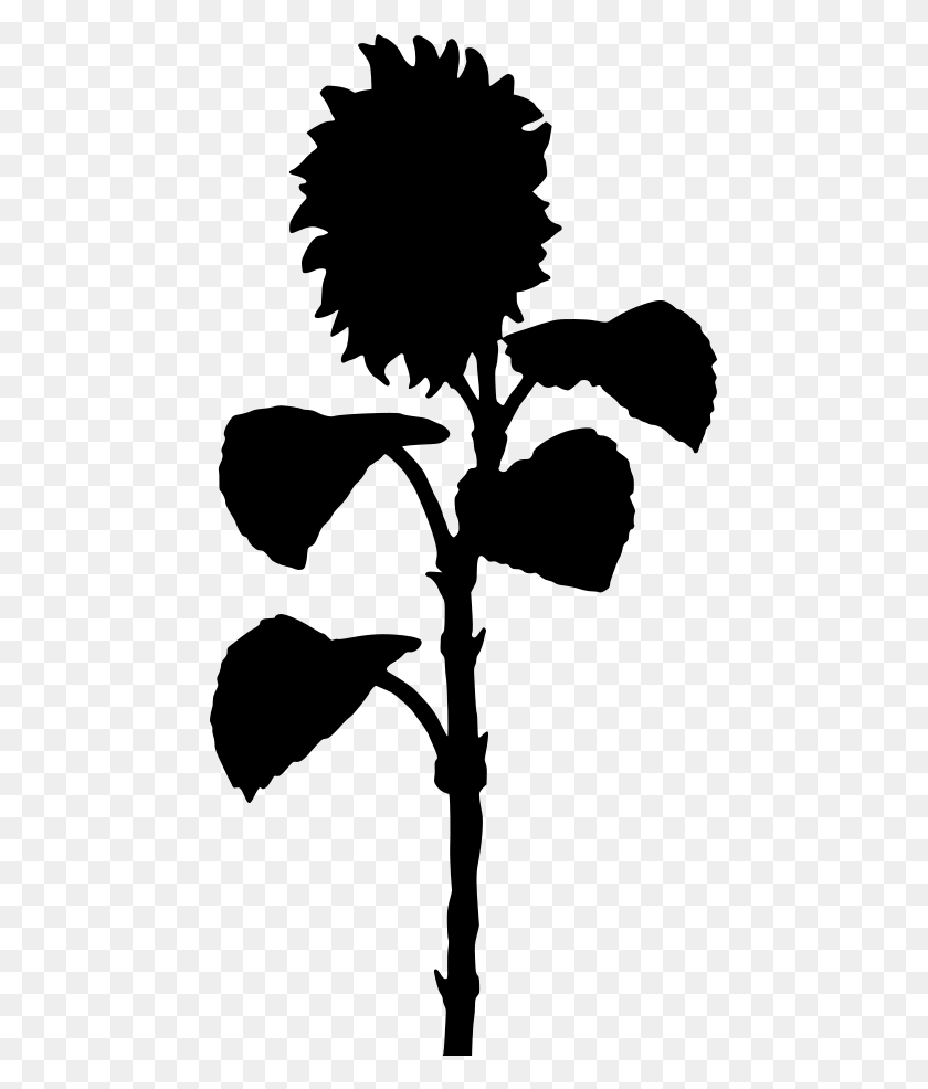 461x926 Sunflower Silhouette, Gray, World Of Warcraft HD PNG Download