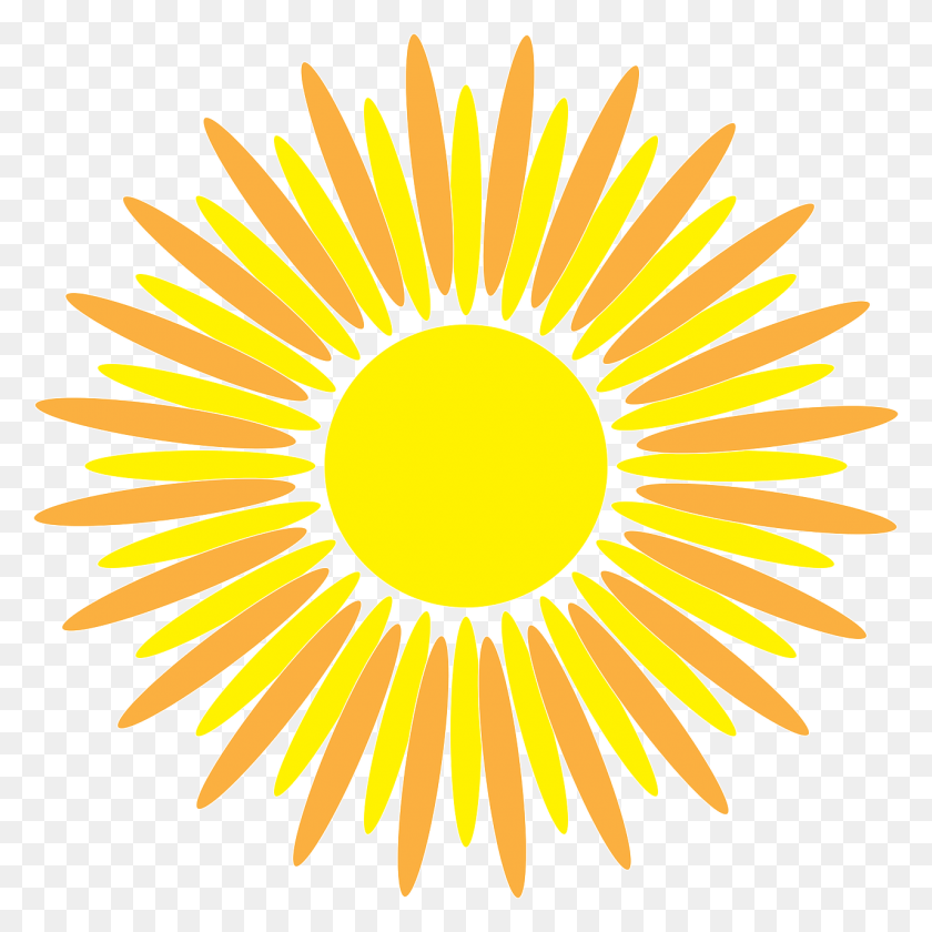 1280x1280 Sunflower Vector Graphic Govt Polytechnic Kendrapara Logo, Plant, Flower, Blossom HD PNG Download