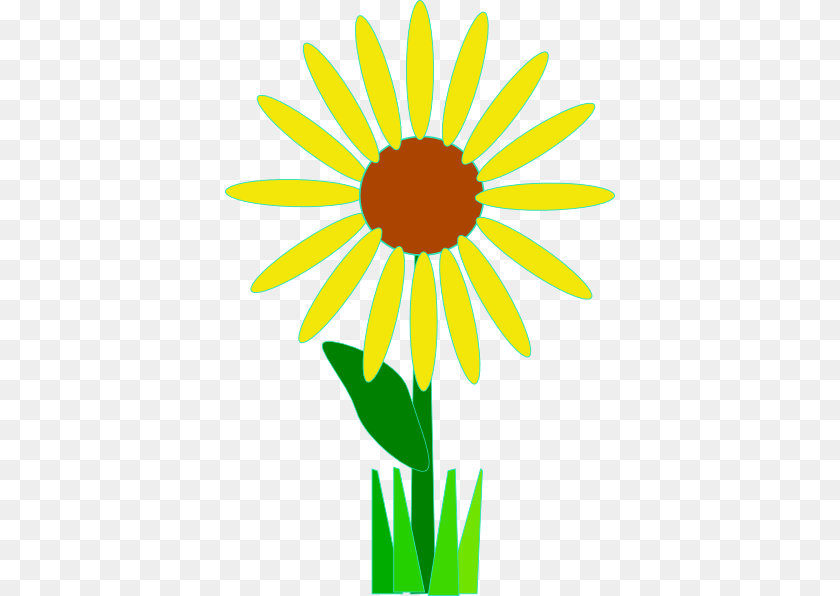 390x596 Sunflower With Grass Clip Arts For Web, Daisy, Flower, Plant, Petal Sticker PNG