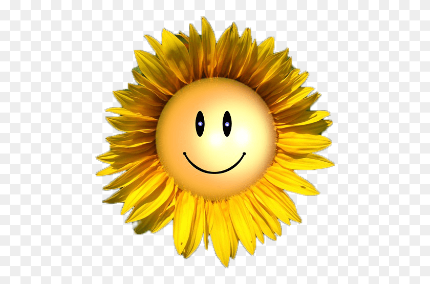 471x495 Sunflower With Smiley Face, Plant, Flower, Blossom HD PNG Download