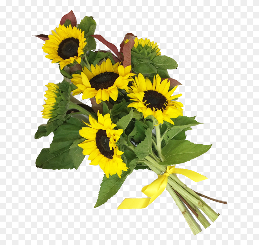 637x736 Sunflowers Bouquet Sunflower Bouquet, Plant, Flower, Blossom HD PNG Download