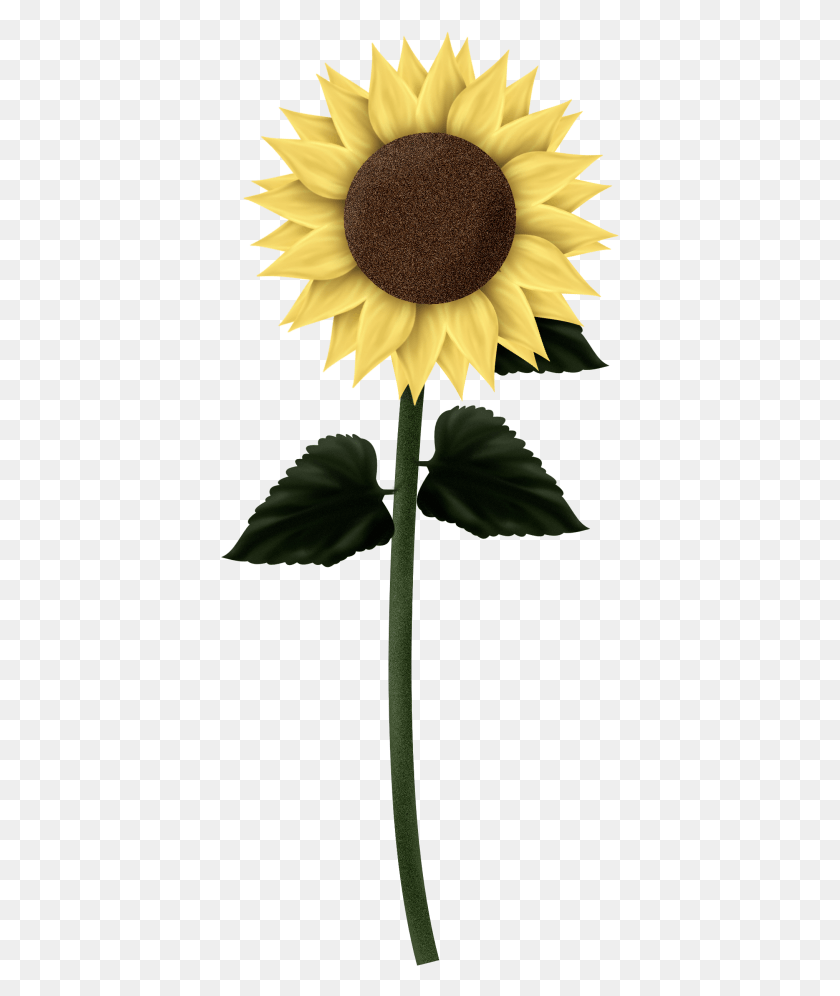399x936 Sunflowers Clipart, Plant, Flower, Blossom HD PNG Download