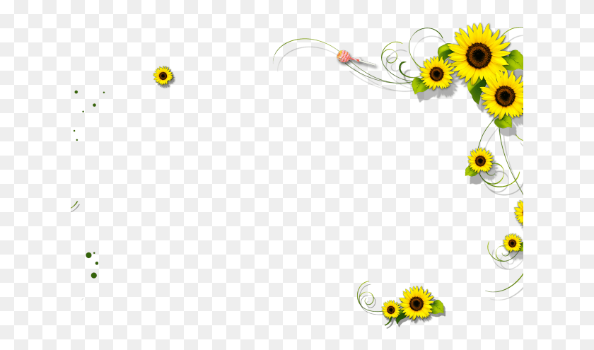 641x435 Sunflowers Clipart Border Graphic Background, Graphics, Floral Design HD PNG Download