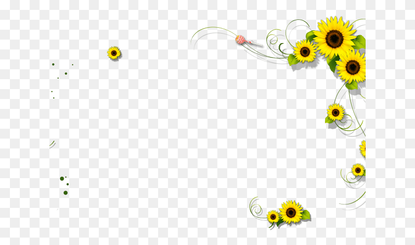 641x435 Descargar Png / Girasoles Png