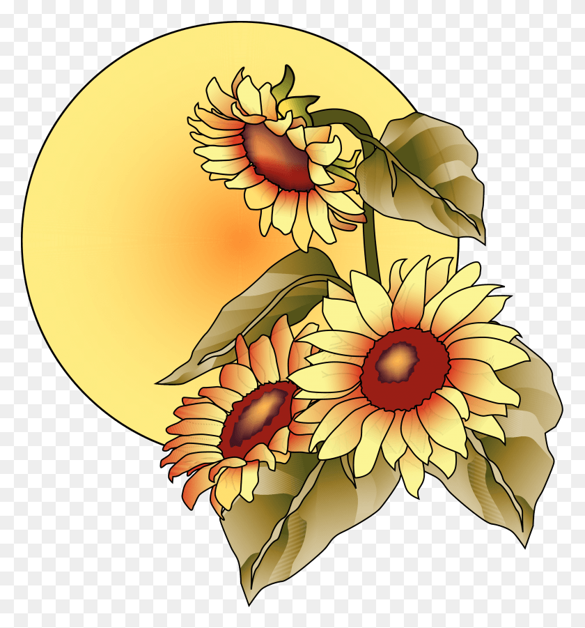 2550x2750 Sunflowers Clipart September Clip Art September Fall, Plant, Flower, Blossom HD PNG Download