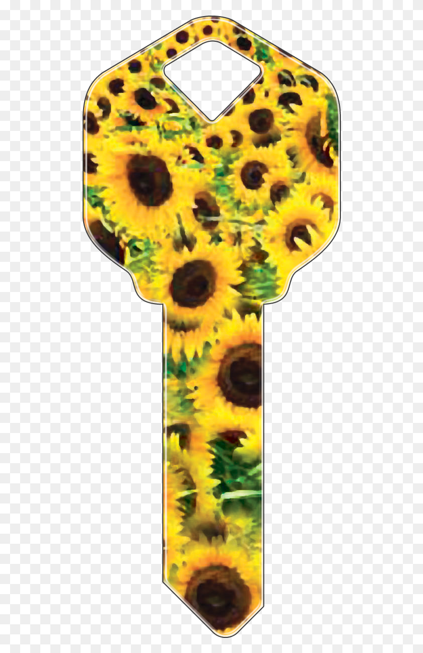 514x1237 Sunflowers Sunflower, Dye, Flower, Plant HD PNG Download