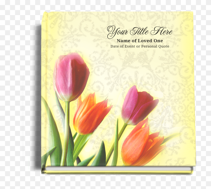 725x691 Sunny Funeral Libro De Visitas Funeral, Planta, Flor, Flor Hd Png