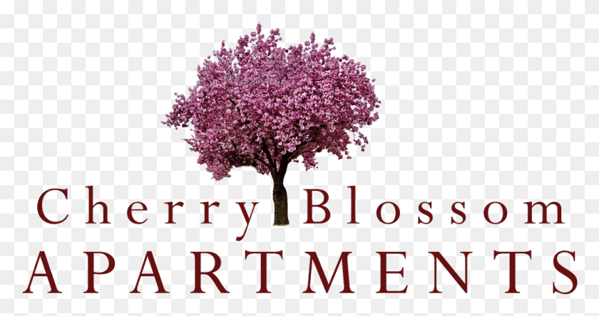 1024x505 Sunnyvale Property Logo Cherry Blossom Tree Logo, Planta, Flor, Blossom Hd Png