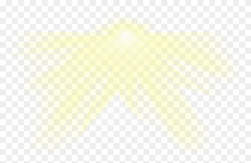 990x619 Солнечные Лучи Свет Лучи Солнечного Света Freetoedit Лучи Света, Растения, На Открытом Воздухе, Природа Hd Png Скачать
