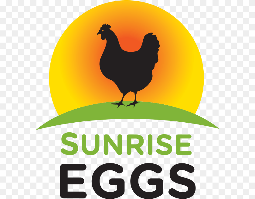 Sunrise Eggs Sun Rise, Animal, Bird, Chicken, Fowl Sticker PNG