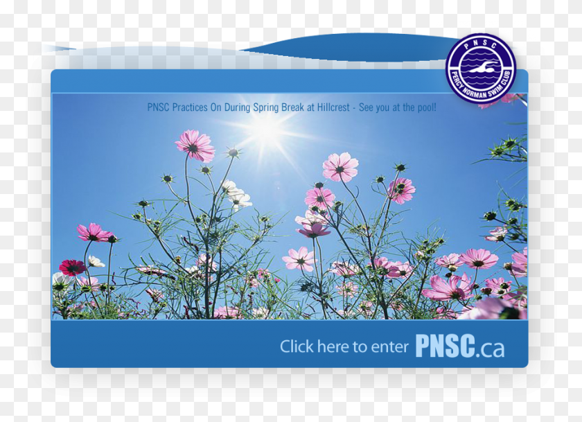 905x637 Sunrise Good Morning New, Plant, Spring, Flower HD PNG Download