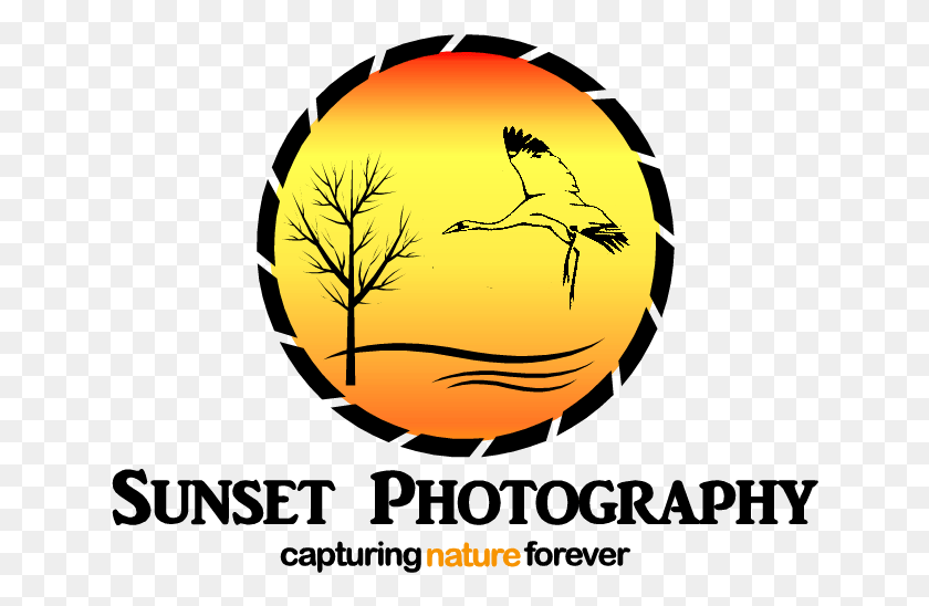 640x488 Sunset Photography Logo Circle, Graphics, Plant HD PNG Download