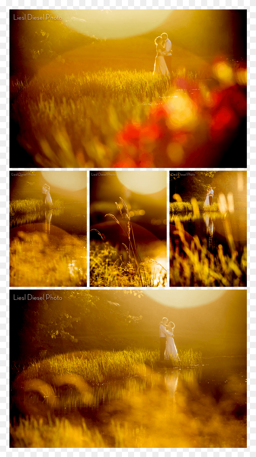 881x1624 Descargar Png Sunset Sun Flare Evening Portrait Photo Bride Groom, Collage, Poster, Publicidad Hd Png